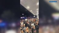 Neighbors, visitors react to cancellation of Slammedenuff Seveierville 2025