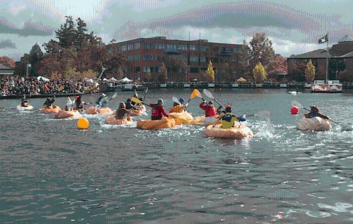 WATCH: Giant gourds set sail at West Coast Giant Pumpkin Regatta