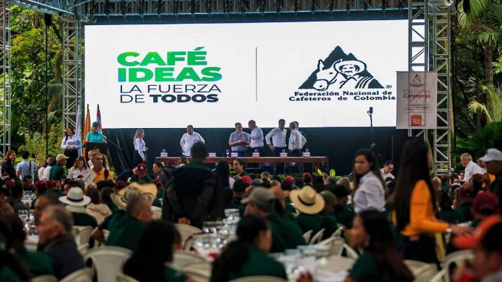 El café colombiano vive su mejor momento: producción alcanzó su punto más alto en 30 años