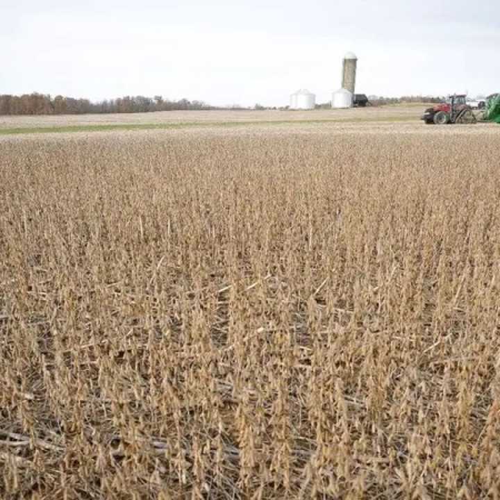 Arde la interna del agro: los productores venden a cuentagotas y pujan por el precio con los exportadores