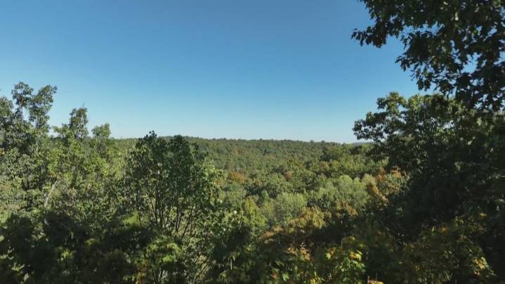 Bernheim Forest celebrating fall with annual Colorfest