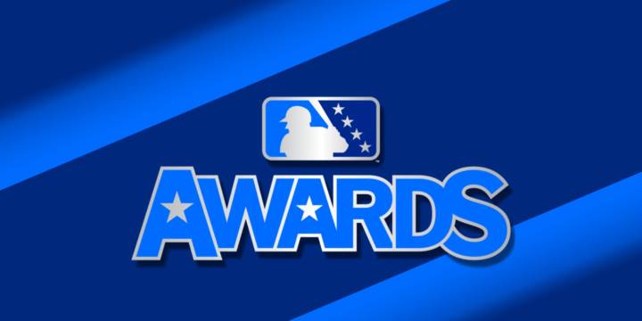 MiLB Awards from the Baseball Traveler 2025
