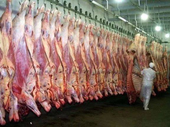 Estados Unidos cuadruplicó la cuota de compra de carne vacuna argentina