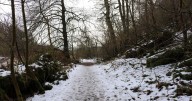 Historic Scottish woodland trail with play park near 'Scotland's Best Chippy'