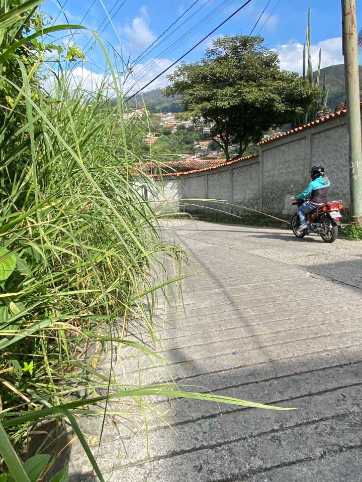 Habitantes de Ventorrillo en San Pedro  denuncian abandono vial y alumbrado deficiente