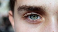 De reptiles a humanos: ¿La arquitectura de la vida es producto del azar o de un diseño minucioso?