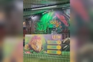 Denuncian explotación de animales silvestres en Fiestas del Sol 