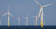 Renewable energy hits record but expansion insufficient