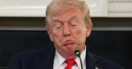 Panicked Republicans Beg TACO Donald Trump to Ditch His Shutdown Plot