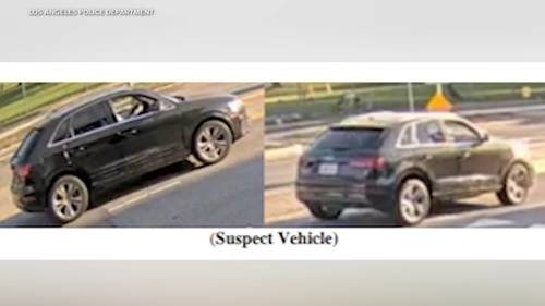 Los Angeles police ask for public's help finding suspect in deadly West LA hit