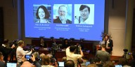 Nobel de Medicina reconoce descubrimientos sobre cómo se regula el sistema inmune