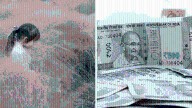 Sukanya Samriddhi Yojana calculator: How to earn Rs 70 lakh for your daughter