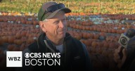 Owner of Parlee Farms on apple picking season so far