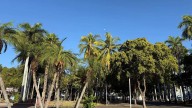 Sol intenso y calor extremo dominarán la jornada de este sábado