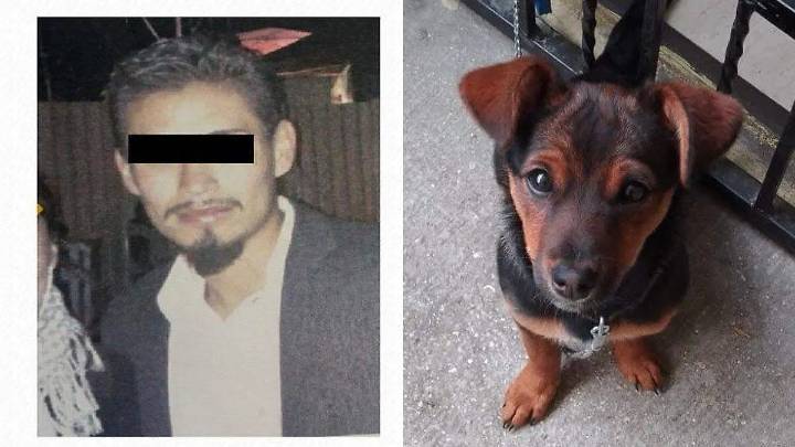 Buscan sentencia condenatoria contra sujeto por arrojar de un tercer piso a perrita de 8 meses en Huejotzingo