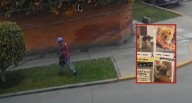 Cámaras captan a hombre que habría envenenado a varias mascotas en San Isidro