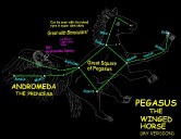 Skywatch: The great flying horse of the sky