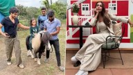 Bollywood Malaika Arora Shares Sweet Reaction to Arhaan Khan’s Social Media Post, Hints at Happiness Over Arbaaz Khan and Sshura Khan’s Baby Girl Arrival (View Post)