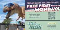 DHDC offers the community Free First Mondays