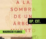 Mujeres e historia: Mónica Rojas