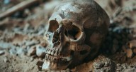 Hallazgo del siglo: descubren huesos de un "hobbit" de más de 700.000 años de antigüedad que reescribe la historia