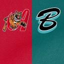 Resumen Tigres vs Bravos