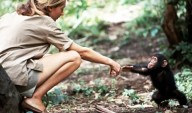 Muere Jane Goodall: la foto con Flint que cambió la ciencia y el modo de ver a los animales