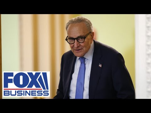'CAREER POLITICIAN': Chuck Schumer ROASTED amid government shutdown