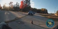 Hawk rescued by State Police troopers