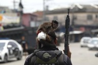 Escenas de guerra: así fue la operación policial en Río de Janeiro que dejó 64 muertos