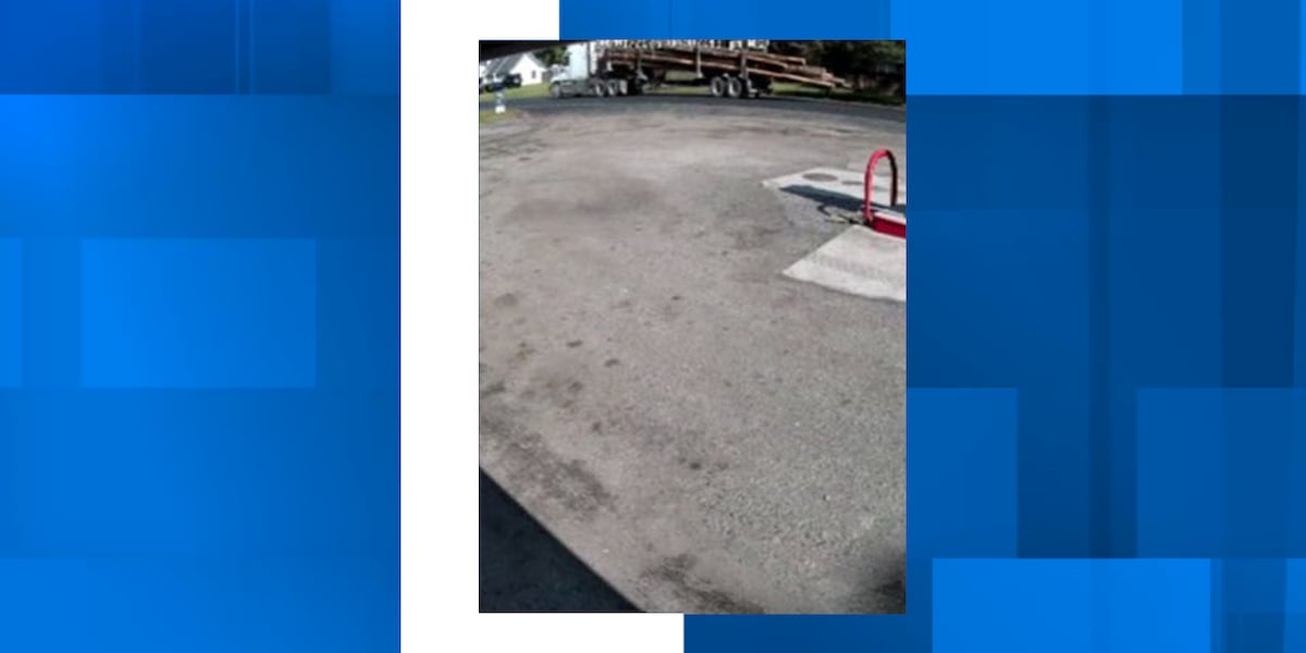Troopers search for alleged vehicle involved in Georgetown County hit