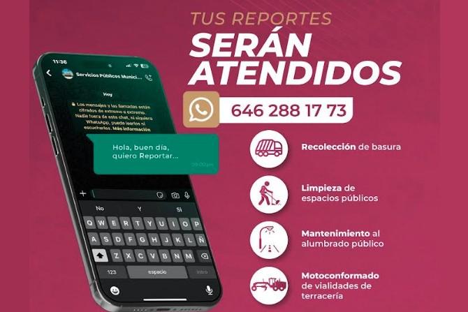 Reportes de recolección de basura únicamente a Whatsapp