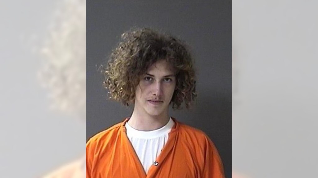 Woodstock man faces reckless endangerment, weapons possession charges