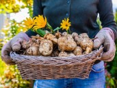 Brian Minter: Late fall vegetable gardens can deliver a great bounty