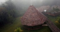 Lluvias intensas y descenso de temperatura afectarán la selva central y sur hasta el 9 de octubre