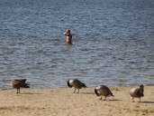 Ottawa breaks heat records, dry conditions expected to continue