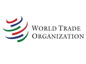 China drags India to WTO over EV, battery subsidies