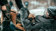 Así es la unidad de guías caninos de la Policía Nacional