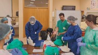 ¿Qué centro universitario es el más valorado de Extremadura?: El de Plasencia y por cuarto año consecutivo