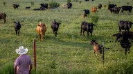 The U.S. plans to boost Argentine beef imports, angering American ranchers : NPR