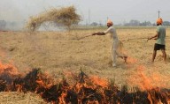 Stubble burning surges in Punjab, 484 cases recorded till October 22
