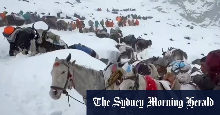 Mount Everest blizzard: Hundreds of trekkers stranded near eastern face in Tibet