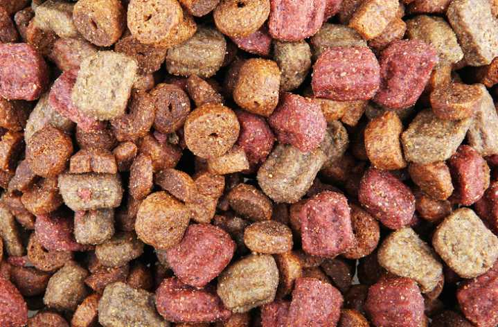 2,500 pounds of dog food donated to Upstate organization