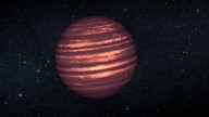 The search for life on Venus just took another turn, thanks to JWST's brown dwarf discovery