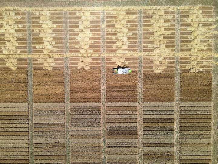 La cosecha de cereal de invierno en Aragón crece un 60% y alcanza los 3,1 M de toneladas