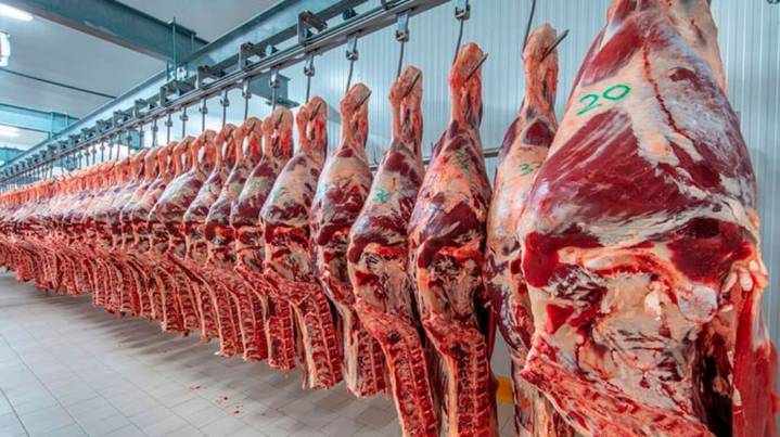 Las exportaciones de carne muestran volúmenes sostenidos y hay expectativas por un posible acuerdo con EE.UU.