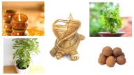3 Things to Bring Home Before Diwali to Improve Vastu and Invite Goddess Lakshmi’s Blessings