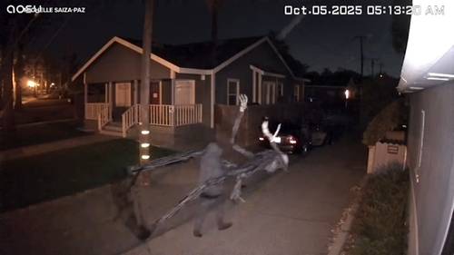Halloween thief steals 13-foot Jack Skellington decoration from California home