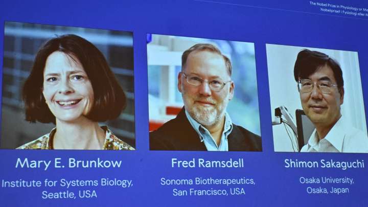 2025 Nobel Prize in Medicine paves way for possible new cancer treatments