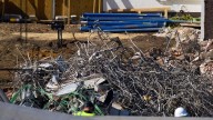 Lo que dicen los legisladores sobre la demolición del Ala Este de la Casa Blanca